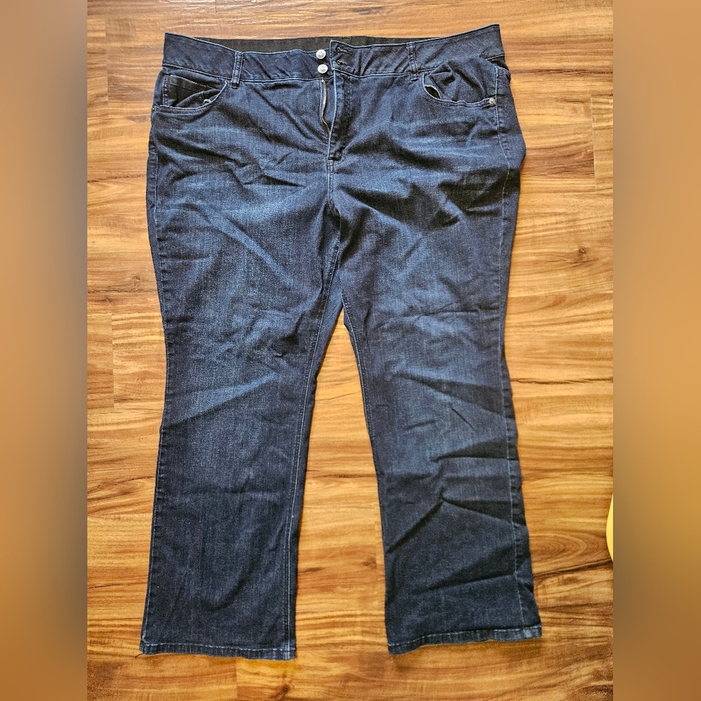 Lane Bryant Venezia Blue Jeans